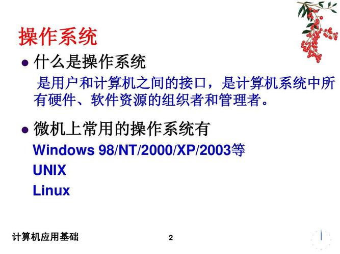 计算机系统服务 数字时代的基石与演进